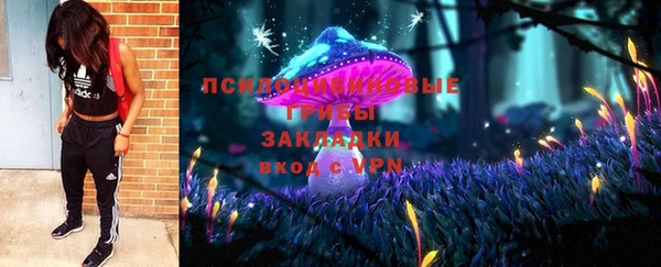 ГАЛЛЮЦИНОГЕННЫЕ ГРИБЫ Алзамай