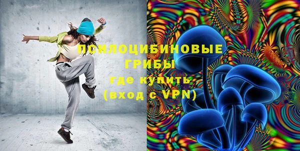 МДПВ Абинск