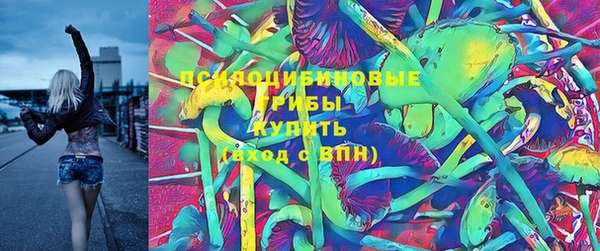 трава Абаза