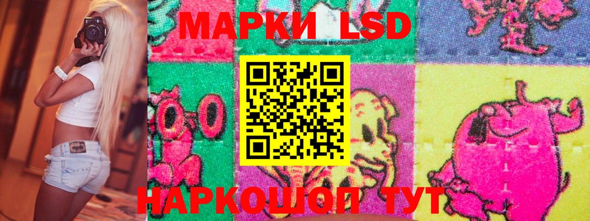 Наркотические марки 1,5мг  Вход с VPN  цены   Ярославль 