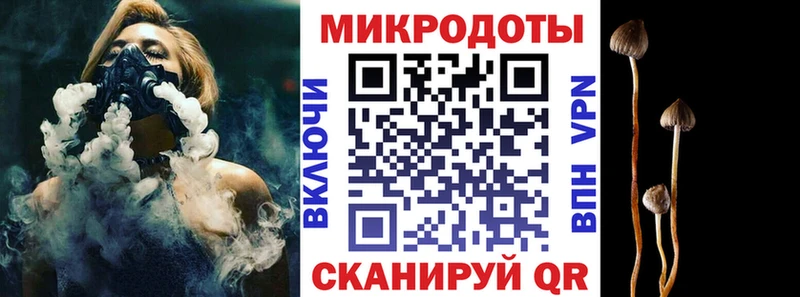 Псилоцибиновые грибы Psilocybe  Ярославль 
