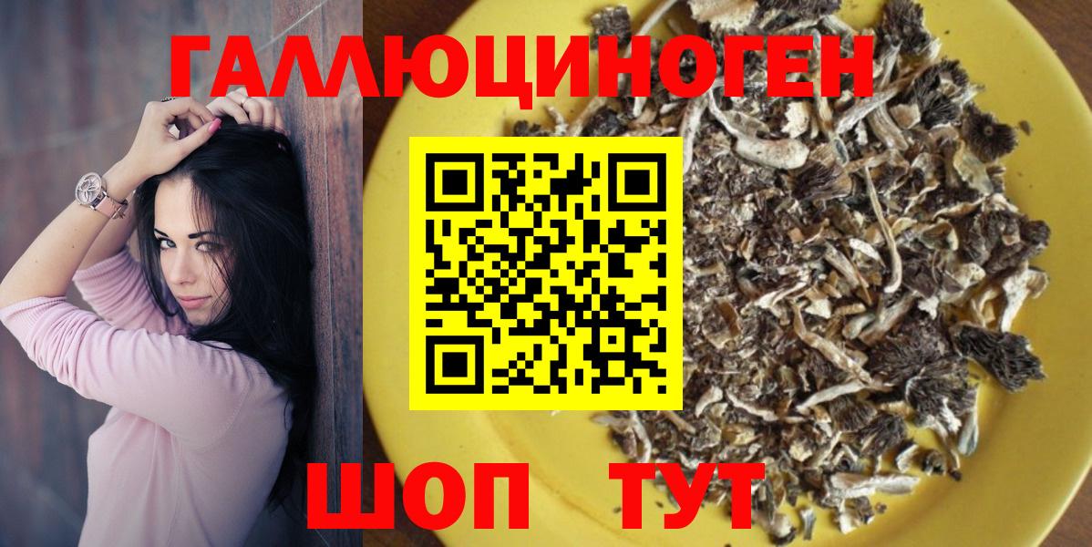 Ярославль  Псилоцибиновые грибы Magic Shrooms  Вход с VPN 